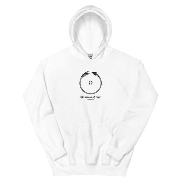 Arrow of Time WT hoodie
